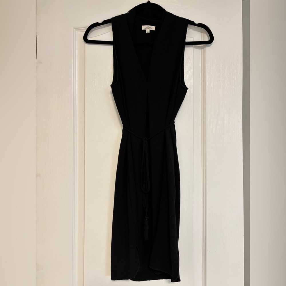 Aritzia Wilfred dress